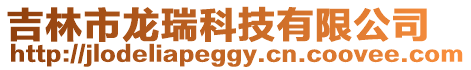 吉林市龍瑞科技有限公司