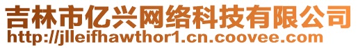 吉林市億興網絡科技有限公司
