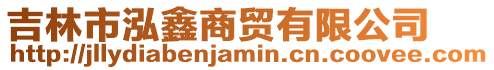 吉林市泓鑫商貿有限公司