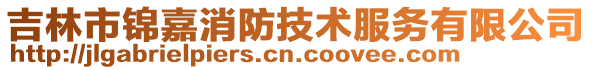 吉林市錦嘉消防技術服務有限公司