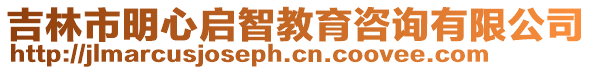 吉林市明心啟智教育咨詢有限公司