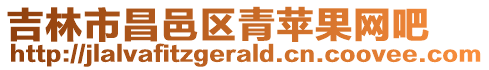 吉林市昌邑区青苹果网吧