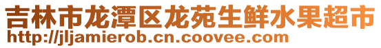 吉林市龍?zhí)秴^(qū)龍?jiān)飞r水果超市