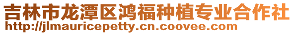 吉林市龍潭區鴻福種植專業合作社