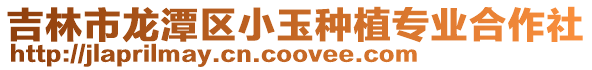吉林市龍潭區小玉種植專業合作社