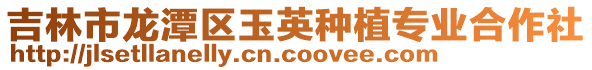 吉林市龍?zhí)秴^(qū)玉英種植專業(yè)合作社