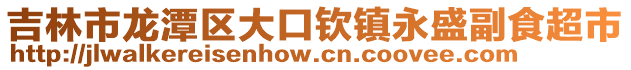 吉林市龍潭區大口欽鎮永盛副食超市