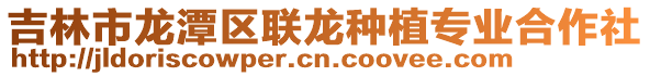 吉林市龍潭區聯龍種植專業合作社