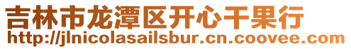 吉林市龍?zhí)秴^(qū)開心干果行
