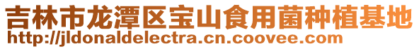 吉林市龍?zhí)秴^(qū)寶山食用菌種植基地