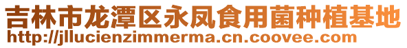 吉林市龍?zhí)秴^(qū)永鳳食用菌種植基地