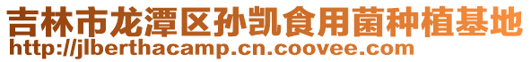吉林市龍潭區孫凱食用菌種植基地