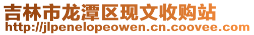 吉林市龍潭區現文收購站