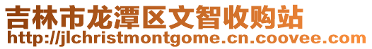 吉林市龍潭區文智收購站
