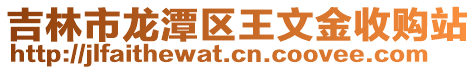 吉林市龍潭區王文金收購站