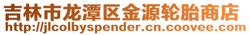 吉林市龍潭區金源輪胎商店