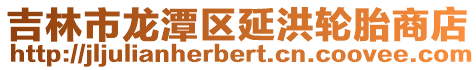 吉林市龍潭區延洪輪胎商店