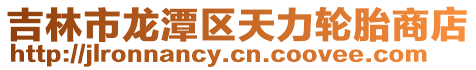 吉林市龍潭區天力輪胎商店