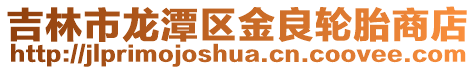 吉林市龍潭區金良輪胎商店