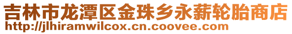 吉林市龍?zhí)秴^(qū)金珠鄉(xiāng)永薪輪胎商店