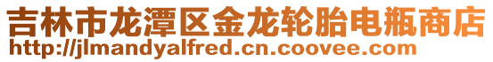 吉林市龍潭區金龍輪胎電瓶商店