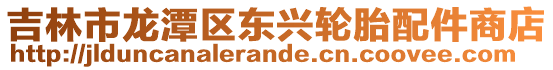 吉林市龍潭區東興輪胎配件商店
