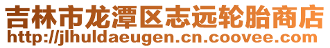 吉林市龍?zhí)秴^(qū)志遠(yuǎn)輪胎商店