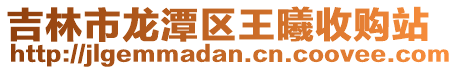 吉林市龍潭區王曦收購站