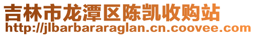 吉林市龍潭區陳凱收購站