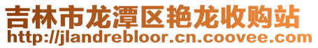吉林市龍潭區艷龍收購站