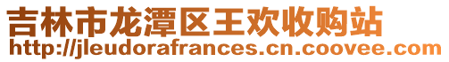 吉林市龍潭區王歡收購站