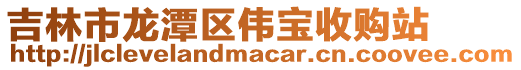 吉林市龍潭區偉寶收購站