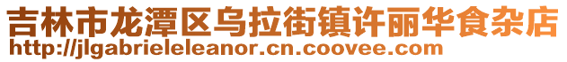 吉林市龍潭區烏拉街鎮許麗華食雜店