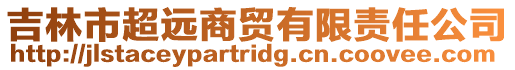 吉林市超遠商貿有限責任公司