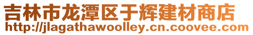 吉林市龍?zhí)秴^(qū)于輝建材商店