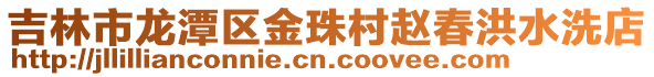 吉林市龍?zhí)秴^(qū)金珠村趙春洪水洗店