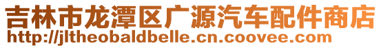 吉林市龍潭區廣源汽車配件商店