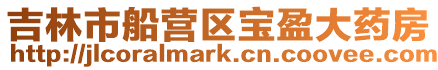 吉林市船營區寶盈大藥房