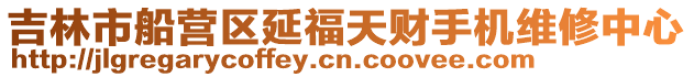 吉林市船營區延福天財手機維修中心