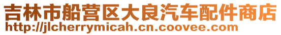 吉林市船營區(qū)大良汽車配件商店