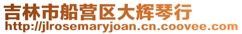吉林市船營區大輝琴行
