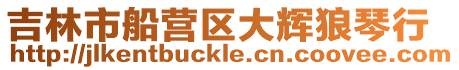 吉林市船營區大輝狼琴行