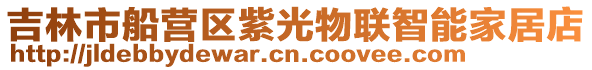 吉林市船營區紫光物聯智能家居店