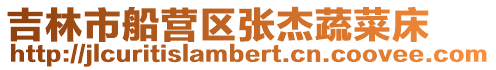 吉林市船營區張杰蔬菜床