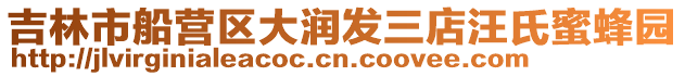 吉林市船營區大潤發三店汪氏蜜蜂園