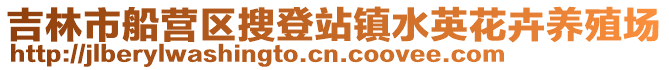 吉林市船營區搜登站鎮水英花卉養殖場