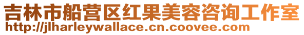 吉林市船營區(qū)紅果美容咨詢工作室