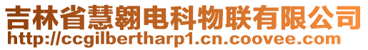 吉林省慧翱電科物聯(lián)有限公司