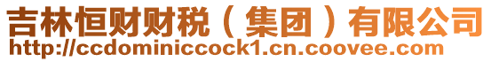 吉林恒財財稅(集團)有限公司