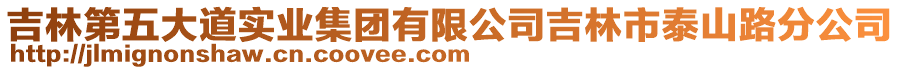 吉林第五大道實(shí)業(yè)集團(tuán)有限公司吉林市泰山路分公司